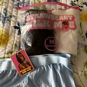 Strawberry Milk Mob Light Blue Boxer Briefs